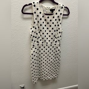 Jcrew polka dot tweed dress